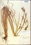 000021346-thumbnail.jpg