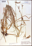 000021347-thumbnail.jpg