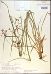 000021348-thumbnail.jpg