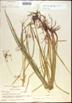 000021349-thumbnail.jpg
