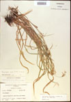 000021350-thumbnail.jpg