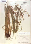 000021351-thumbnail.jpg