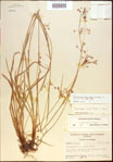000021352-thumbnail.jpg