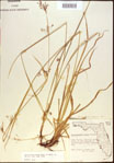 000021354-thumbnail.jpg