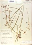 000021355-thumbnail.jpg
