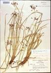 000021356-thumbnail.jpg