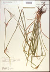 000021357-thumbnail.jpg