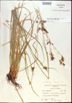 000021358-thumbnail.jpg
