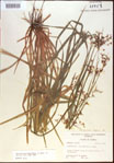 000021360-thumbnail.jpg