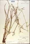 000021361-thumbnail.jpg