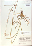 000021362-thumbnail.jpg