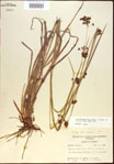 000021363-thumbnail.jpg