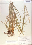 000021364-thumbnail.jpg
