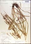 000021365-thumbnail.jpg