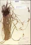 000021366-thumbnail.jpg
