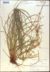 000021367-thumbnail.jpg