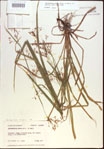 000021368-thumbnail.jpg