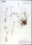 000021369-thumbnail.jpg