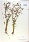 000021371-thumbnail.jpg