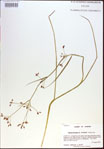 000021372-thumbnail.jpg