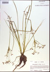 000021373-thumbnail.jpg