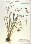 000021374-thumbnail.jpg