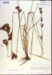 000021375-thumbnail.jpg