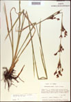 000021376-thumbnail.jpg