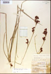000021379-thumbnail.jpg