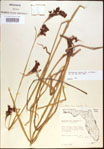 000021380-thumbnail.jpg