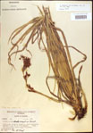 000021381-thumbnail.jpg