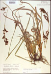 000021383-thumbnail.jpg