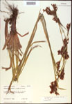 000021385-thumbnail.jpg