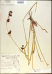 000021387-thumbnail.jpg