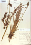 000021388-thumbnail.jpg