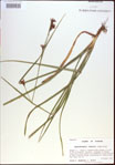 000021389-thumbnail.jpg