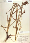 000021391-thumbnail.jpg