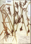 000021392-thumbnail.jpg