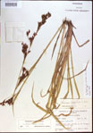 000021394-thumbnail.jpg