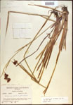 000021395-thumbnail.jpg