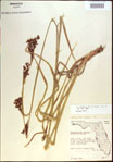 000021396-thumbnail.jpg