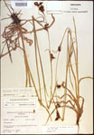 000021397-thumbnail.jpg