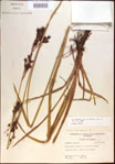 000021398-thumbnail.jpg
