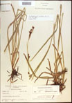 000021399-thumbnail.jpg