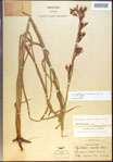 000021400-thumbnail.jpg
