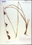 000021401-thumbnail.jpg