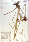 000021403-thumbnail.jpg