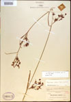 000021405-thumbnail.jpg