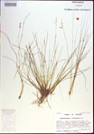 000021406-thumbnail.jpg