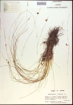 000021407-thumbnail.jpg